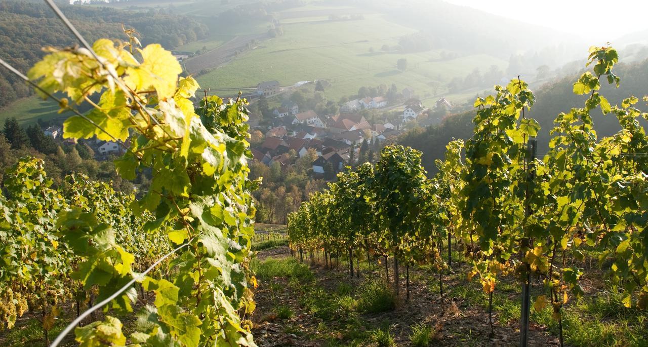 Weingut Hees - Landgasthof Zum Jaeger Aus Kurpfalz Auen Zewnętrze zdjęcie