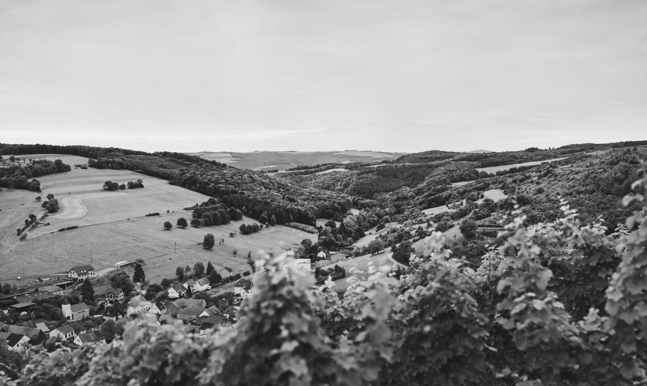 Weingut Hees - Landgasthof Zum Jaeger Aus Kurpfalz Auen Zewnętrze zdjęcie